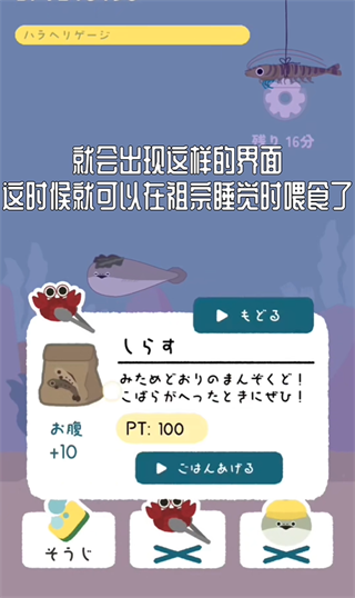 虚无鱼BasPi