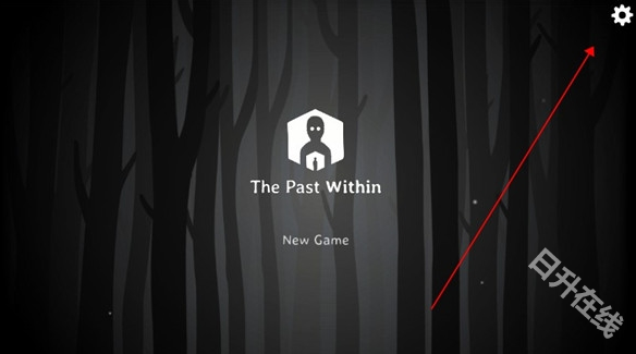 the past within