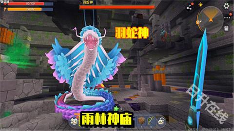 迷你世界雨林版本