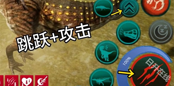 诅咒之岛国际服