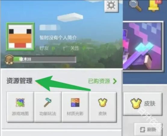 Minecraft国际版