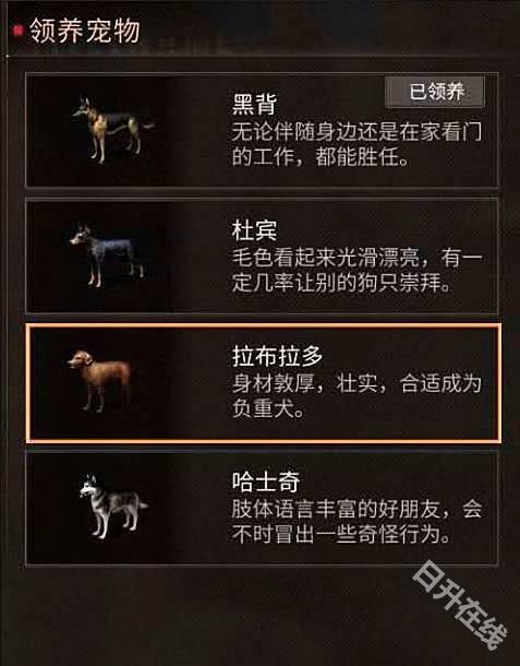 云明日之后