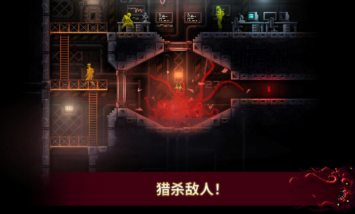 红怪