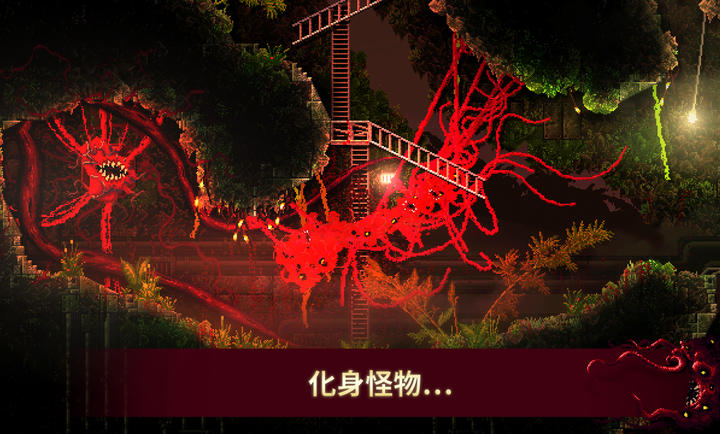 红怪