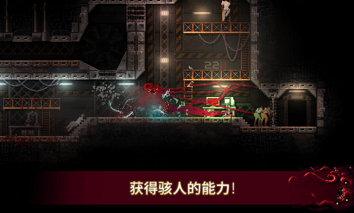 红怪