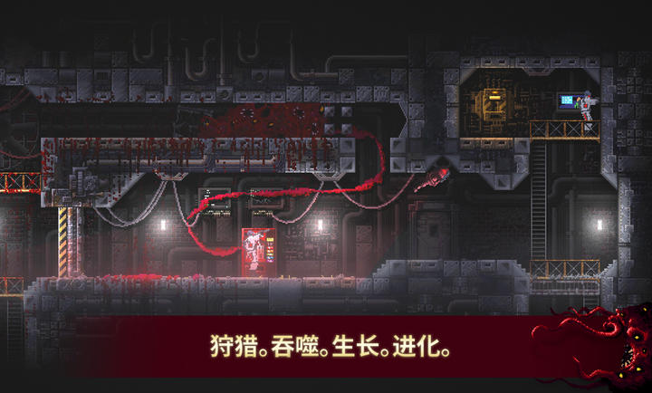 红怪