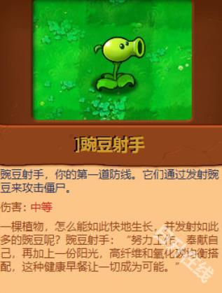 植物大战僵尸原版