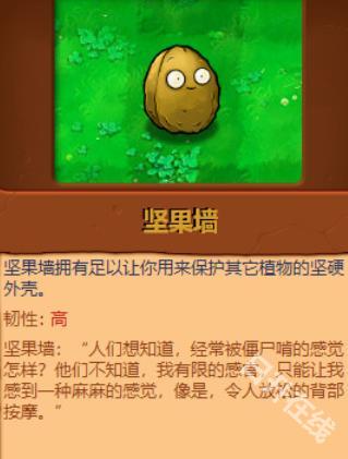 植物大战僵尸原版