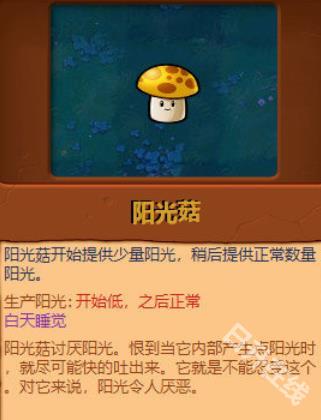 植物大战僵尸原版