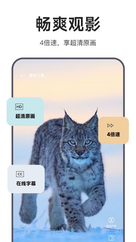 迅雷浏览器