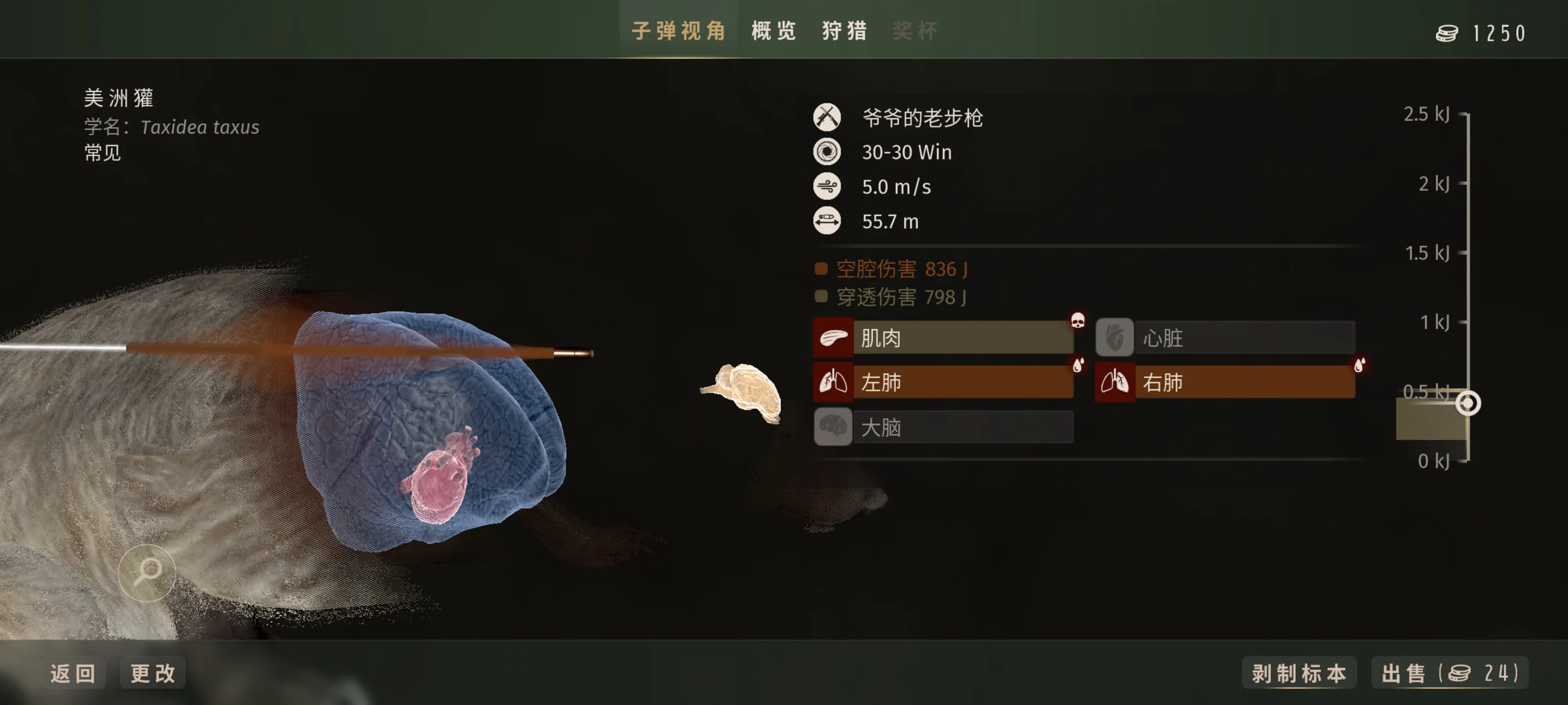 猎人之路
