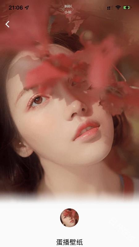 蛋播壁纸
