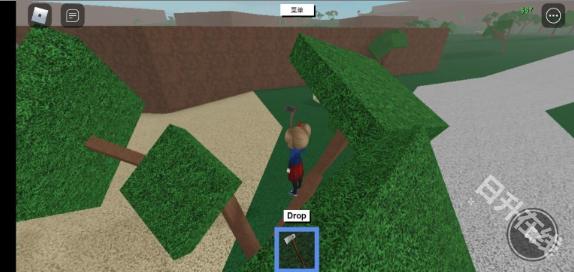 roblox国际服