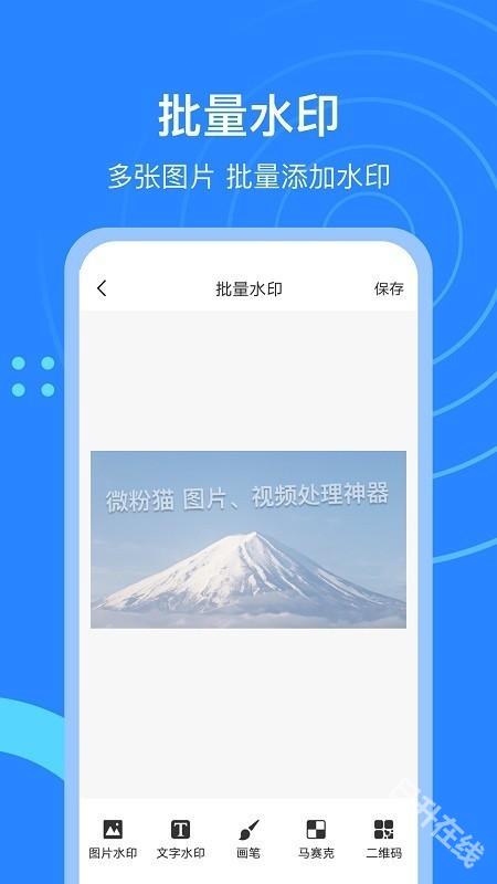 微粉猫