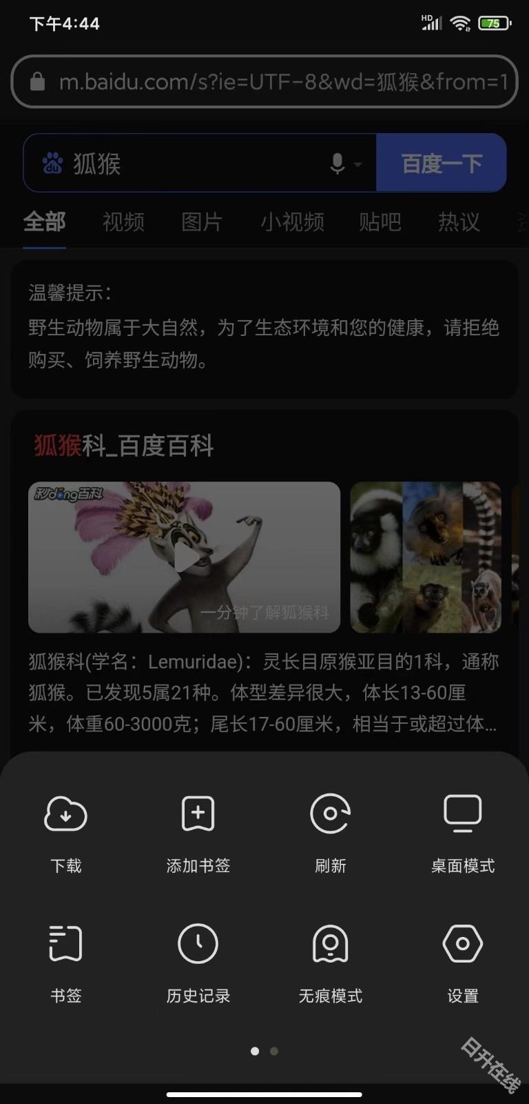 狐猴浏览器
