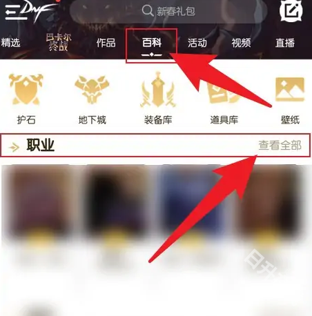 dnf助手