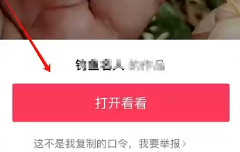 抖音极速版口令复制打不开解决方法