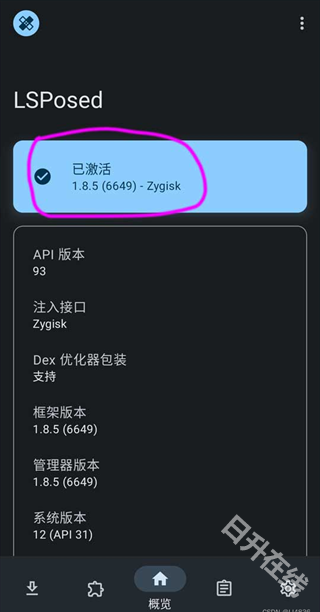 LSPosed模块