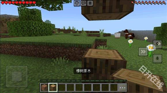 我的世界国际版