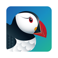 Puffin