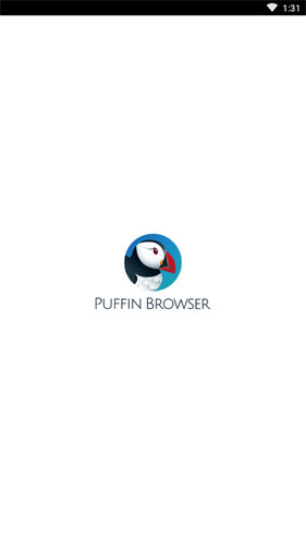 Puffin