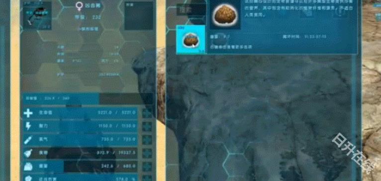 方舟生存进化