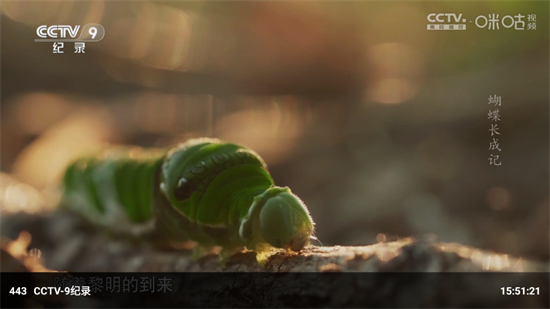 幻彩影视