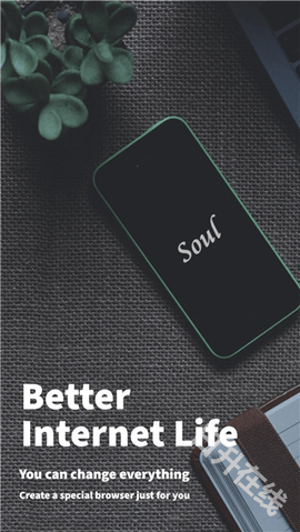soul浏览器