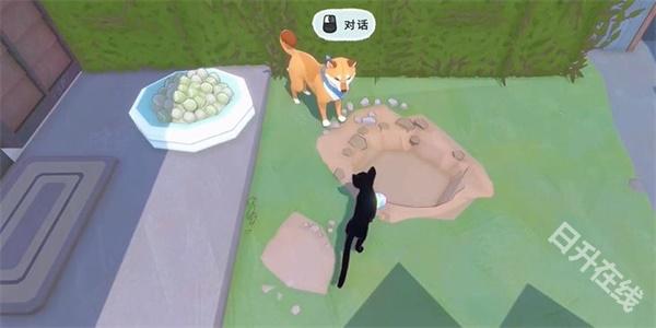小猫咪大城市