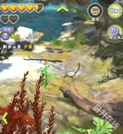 夺笋高手