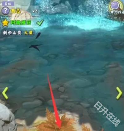 夺笋高手