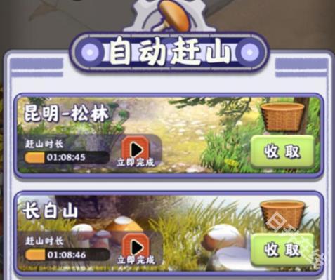 夺笋高手