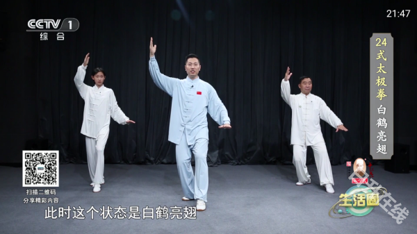 91看电视