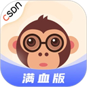 CSDN