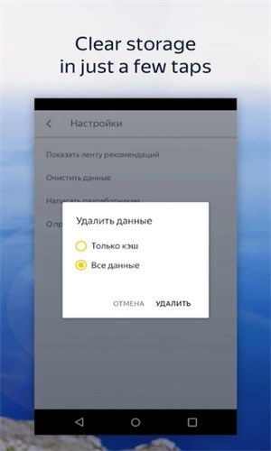 Browser Beta