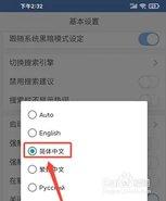 Browser Beta