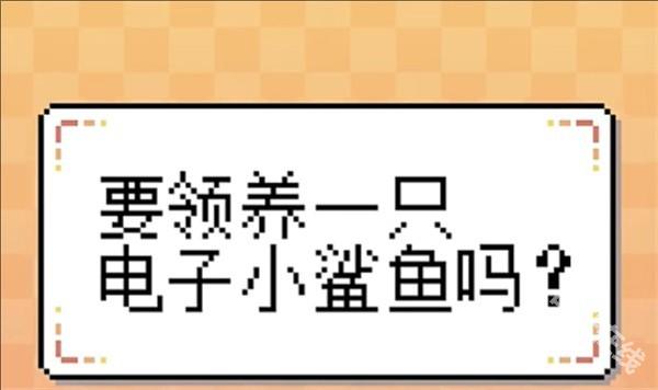 我的小鲨鱼