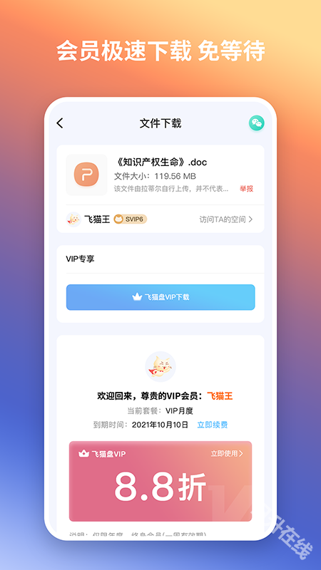 飞猫盘