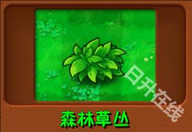植物大战僵尸自然版