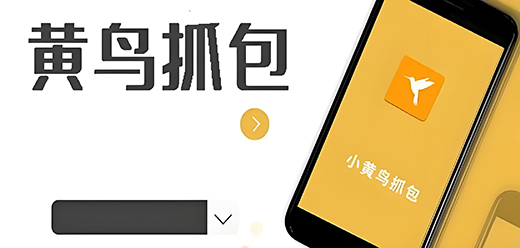 黄鸟抓包app