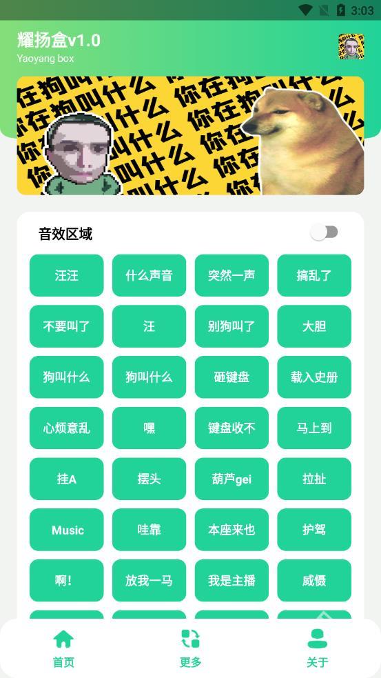 耀阳盒