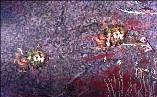 孤胆枪手2中文版