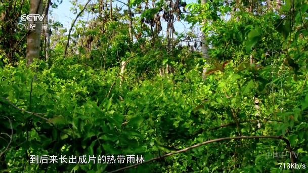 落日TV