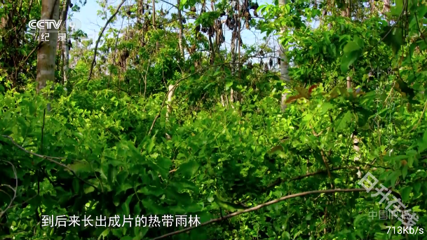 落日TV