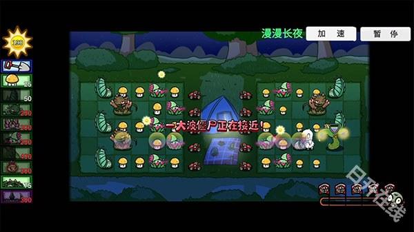 pvzbt版
