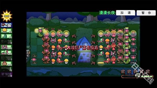 pvzbt版