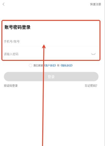 闪玩云游
