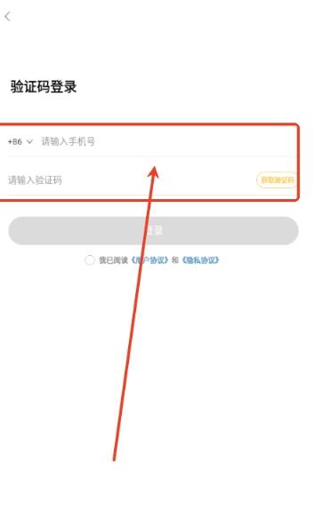 闪玩云游