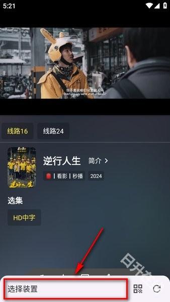 茶杯狐cupfox