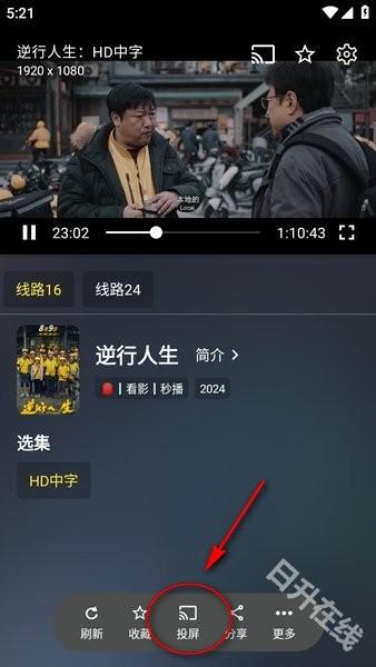 茶杯狐cupfox